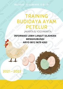 training BUDIDAYA AYAM PETELUR,pelatihan BUDIDAYA AYAM PETELUR,training BUDIDAYA AYAM PETELUR Batam,training BUDIDAYA AYAM PETELUR Bandung,training BUDIDAYA AYAM PETELUR Jakarta,training BUDIDAYA AYAM PETELUR Jogja,training BUDIDAYA AYAM PETELUR Malang,training BUDIDAYA AYAM PETELUR Surabaya,training BUDIDAYA AYAM PETELUR Bali,training BUDIDAYA AYAM PETELUR Lombok,pelatihan BUDIDAYA AYAM PETELUR Batam,pelatihan BUDIDAYA AYAM PETELUR Bandung,pelatihan BUDIDAYA AYAM PETELUR Jakarta,pelatihan BUDIDAYA AYAM PETELUR Jogja,pelatihan BUDIDAYA AYAM PETELUR Malang,pelatihan BUDIDAYA AYAM PETELUR Surabaya,pelatihan BUDIDAYA AYAM PETELUR Bali,pelatihan BUDIDAYA AYAM PETELUR Lombok