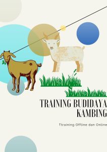 pelatihan PEMBUATAN USAHA TERNAK KAMBING DAN DOMBA online