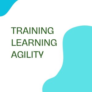 pelatihan LEARNING AGILITY online