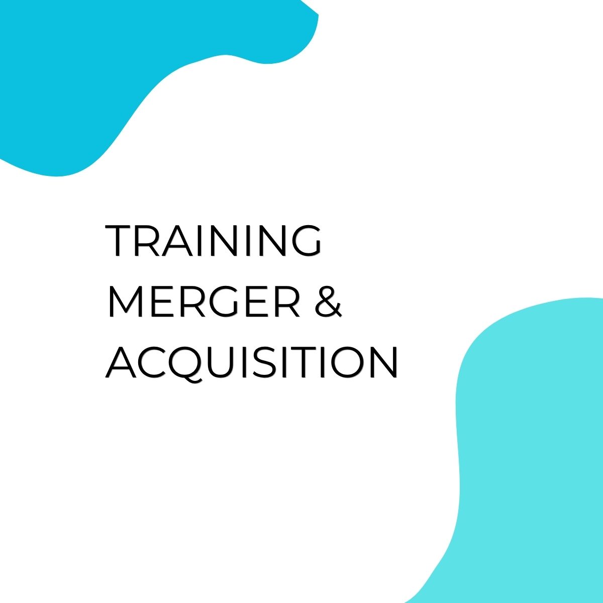 pelatihan MERGER & ACQUISITION di bali